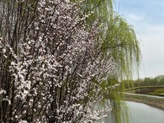 -梁鸿国家湿地公园