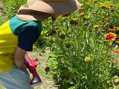 -黄海国家森林公园