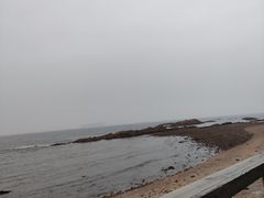 -八大关景区