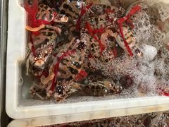 花蟹-羊栏农贸市场(羊新路店)