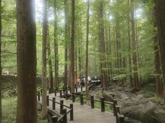 -国家植物园南园