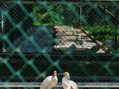 -下渚湖·湿地公园