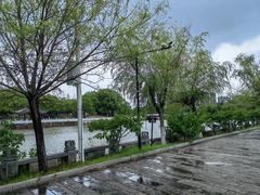 -八大山人梅湖景区