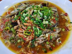 -全乐鱼馆·淳牌有机鱼直营店