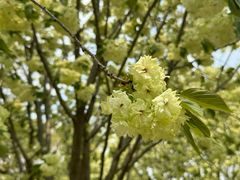 -江南大学(蠡湖校区)