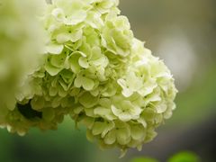 -重庆平顶山公园