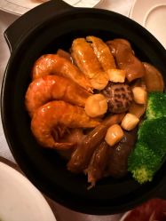 -圣贝拉母婴护理中心(深圳莱佛士店)