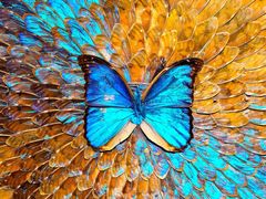 -上海昆虫博物馆