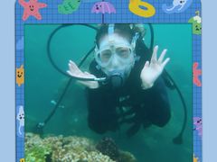 -亚龙湾海底世界