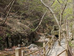 -本溪汤沟绿石谷森林公园