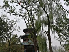 -迎泽公园