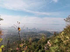 -天台山赤城山景区
