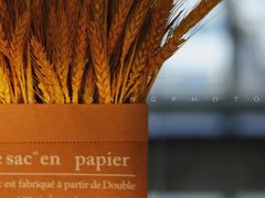 -腾爱熊猫咖啡生活馆(老东门店)