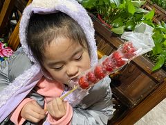 -果松木炭酸菜铜火锅·外婆参鸡汤