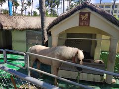 -三亚亚龙湾天域度假酒店