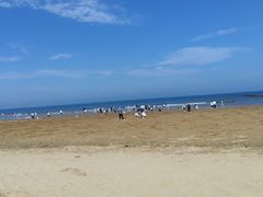 -日照海滨国家森林公园