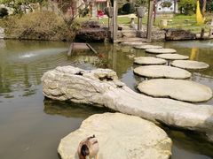 -田园东方蜜桃村的田野营地