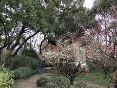 -无锡惠山寺