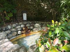 -三江森林温泉度假区