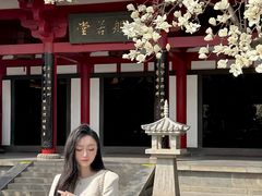 -大慈恩寺(大雁塔)