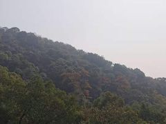 -杭州半山国家森林公园