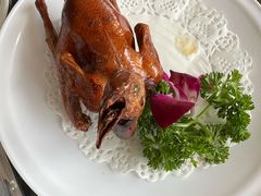 -鸽鸟轩(石岐店)