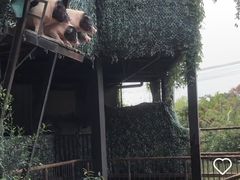 -长鹿旅游休博园