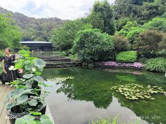 -云溪植物园