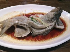 -大鸽饭(马王堆店)