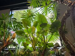 -J Create城市露营咖啡·简餐·宠物(上海动物园店)