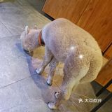 夏日推荐超级好看的萌宠馆｜PoiPoi