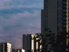 -造精酿餐厅