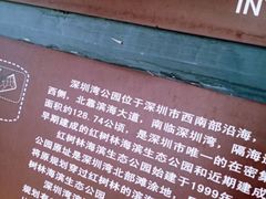 -深圳湾公园(南山区)