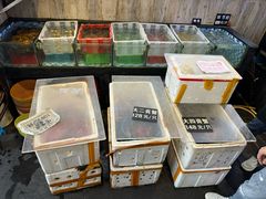 -莲花公园煎蟹(总店)