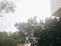 -越秀西湖花市(广州城市广场花卉店)
