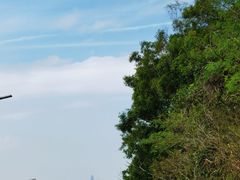 -梧桐山风景名胜区