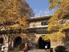 -灵谷景区