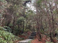 -梦姑塘文化公园