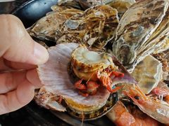 -巧克力渔家.小船海鲜胶东菜(万平口店)