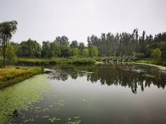 -东郊湿地公园