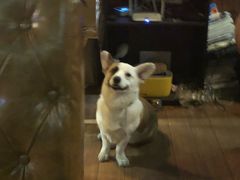 -The Cheebat 锌吧·Bistro(体育西店)