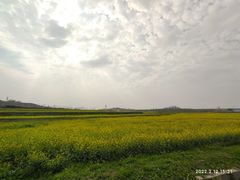 -光明小镇欢乐田园