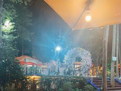 -二荆条·蜀鲜汇城市森林火锅