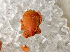 -上海虹桥宾馆·SLIDER(郁锦香店)