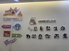 -美迦爱-牙专科·兔科·骨科诊疗中心(北苑店)