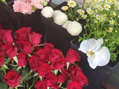 -雪蔓之鲜花气球派对(家佳源时代中心店)