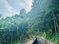 -莫干山风景区