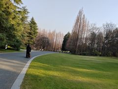 -扬州市茱萸湾风景区
