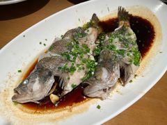 葱油鲈鱼-付家大院(华丰店)