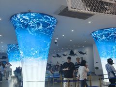 -深海中餐厅(国家海洋博物馆店)